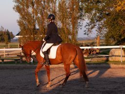 IMG_7979_web